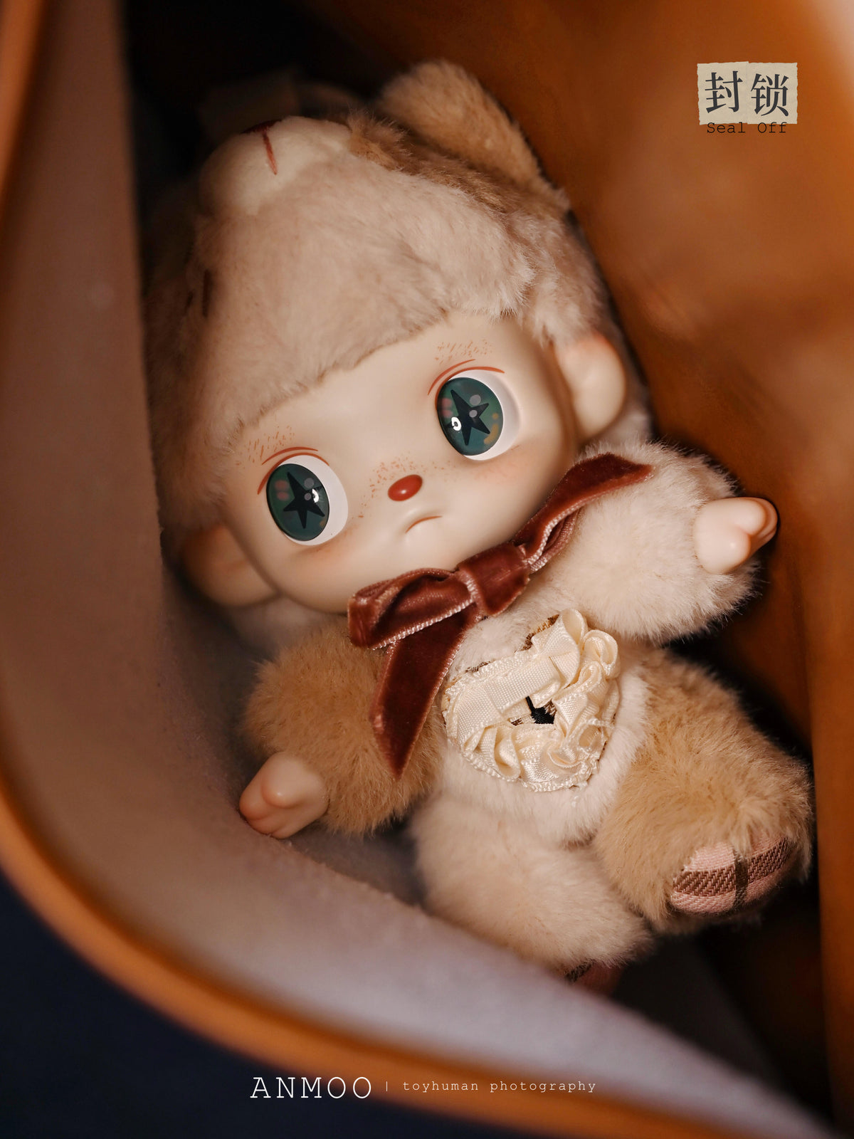 ANMOO Lost Doll Series Plush Blind Box